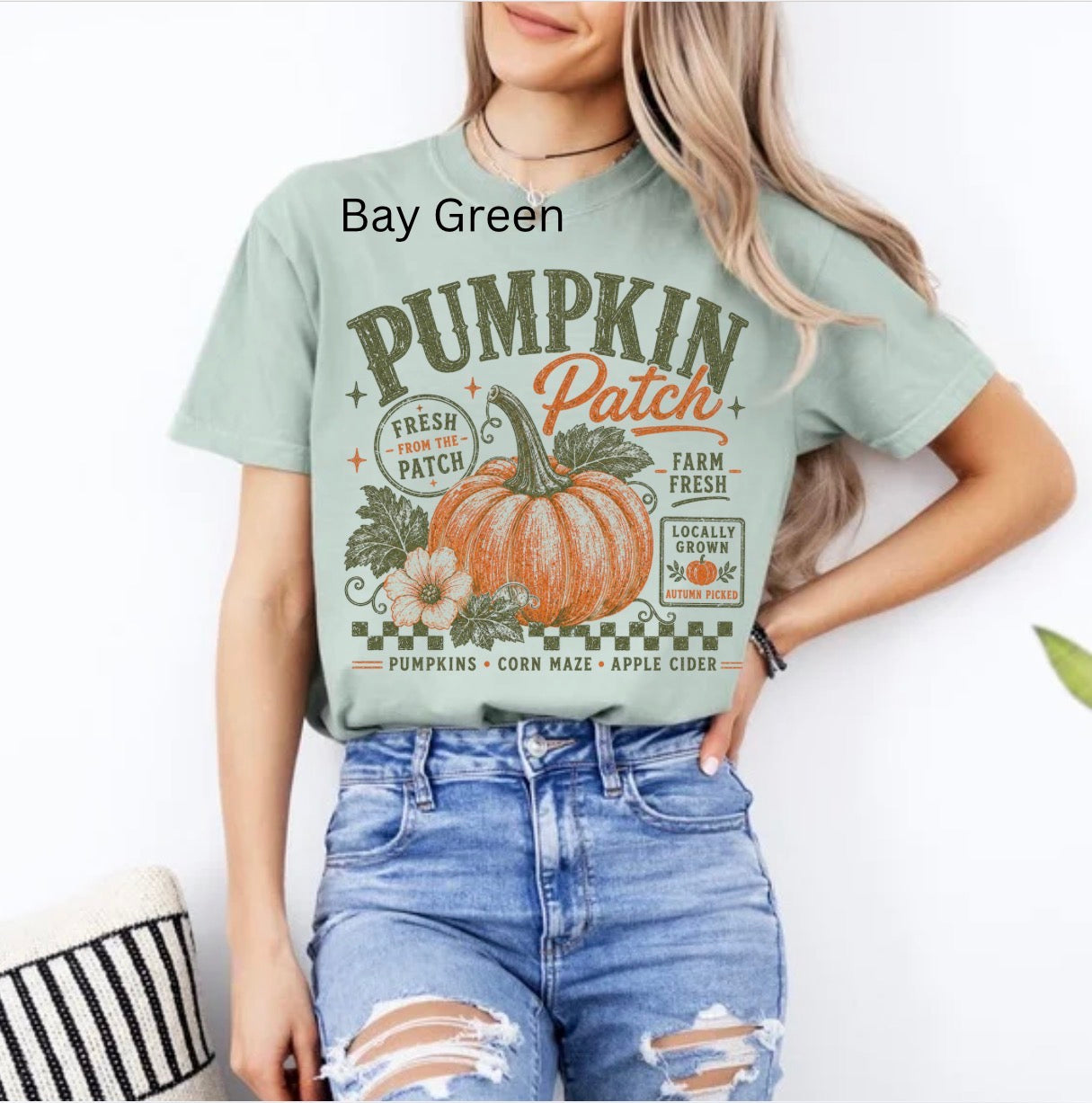 Retro pumpkin patch, fall vibes, cozy season, trendy fall t-shirt
