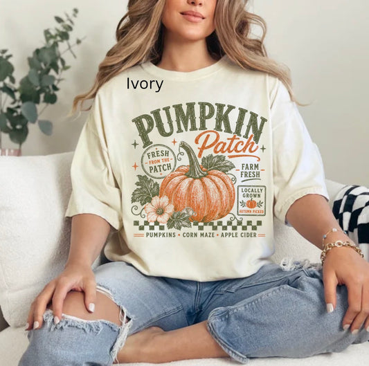 Retro pumpkin patch, fall vibes, cozy season, trendy fall t-shirt