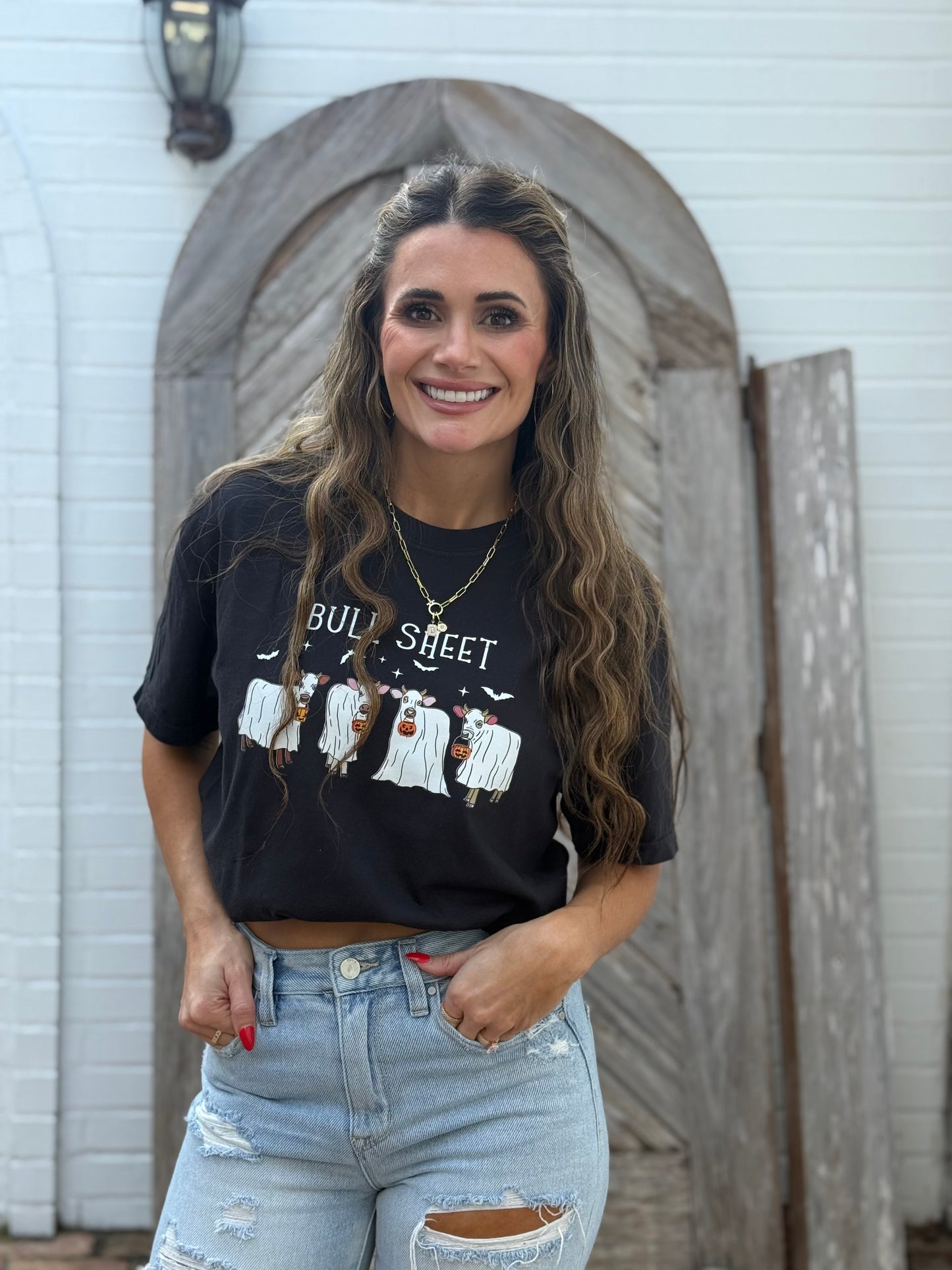 Bull Sheet Halloween Tshirt