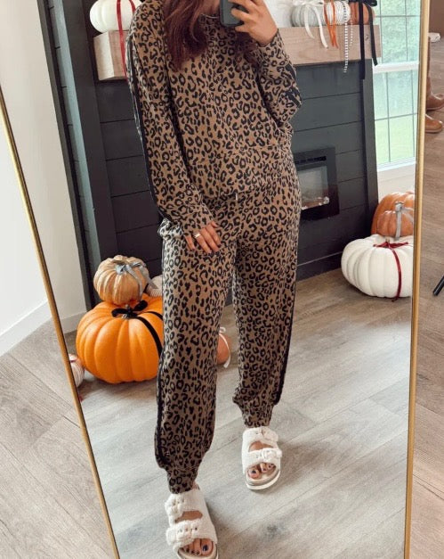 Brown Varisty Striped Leopard Two Piece set